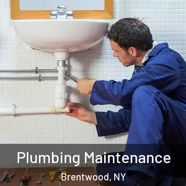  Plumbing Maintenance Brentwood, NY