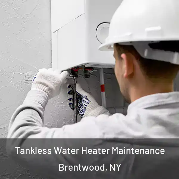  Tankless Water Heater Maintenance Brentwood, NY