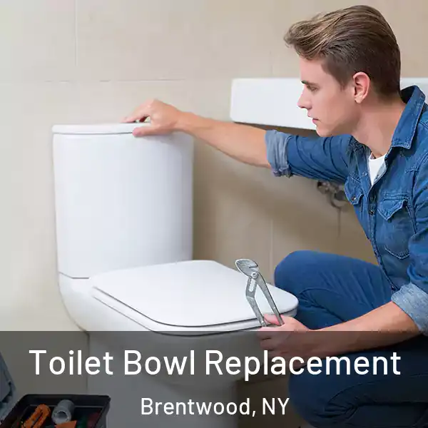  Toilet Bowl Replacement Brentwood, NY
