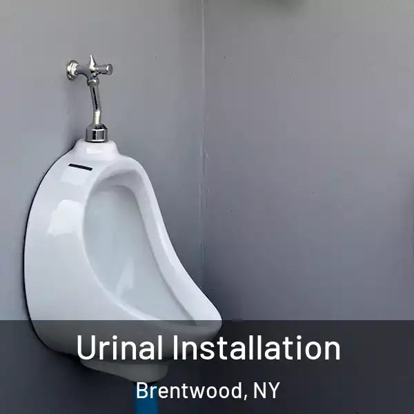  Urinal Installation Brentwood, NY