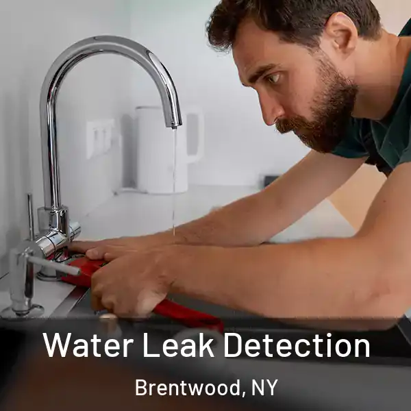  Water Leak Detection Brentwood, NY