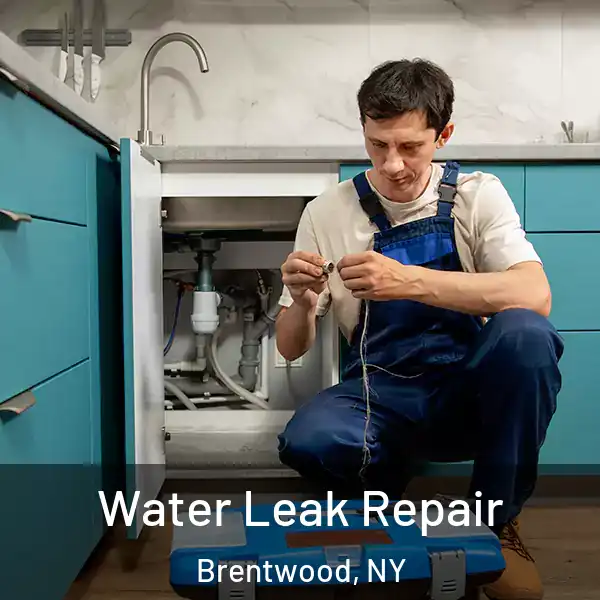  Water Leak Repair Brentwood, NY